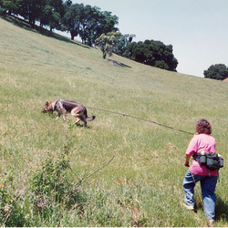 Tracking at Briones Regional Park